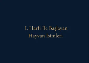 L Harfi İle Başlayan Hayvan İsimleri Nelerdir