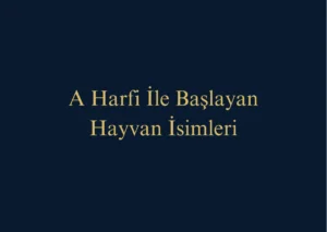 A Harfi İle Başlayan Hayvan İsimleri Nelerdir