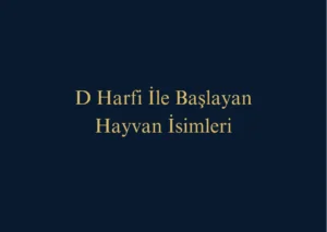D Harfi İle Başlayan Hayvan İsimleri Nelerdir