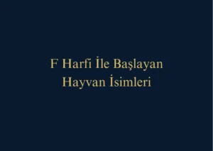 F Harfi İle Başlayan Hayvan İsimleri Nelerdir