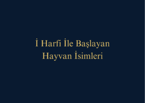 İ Harfi İle Başlayan Hayvan İsimleri Nelerdir