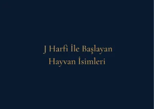 J Harfi İle Başlayan Hayvan İsimleri Nelerdir