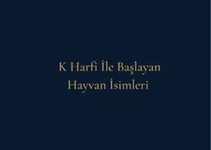 K Harfi İle Başlayan Hayvan İsimleri Nelerdir