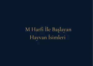 M Harfi İle Başlayan Hayvan İsimleri Nelerdir