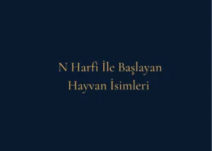 N Harfi İle Başlayan Hayvan İsimleri Nelerdir