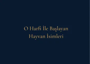 O Harfi İle Başlayan Hayvan İsimleri Nelerdir