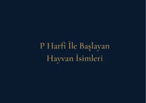 P Harfi İle Başlayan Hayvan İsimleri Nelerdir