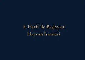 R Harfi İle Başlayan Hayvan İsimleri Nelerdir