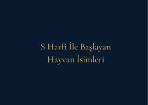 S Harfi İle Başlayan Hayvan İsimleri Nelerdir
