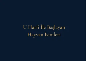 U Harfi İle Başlayan Hayvan İsimleri Nelerdir
