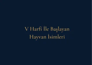 V Harfi İle Başlayan Hayvan İsimleri Nelerdir