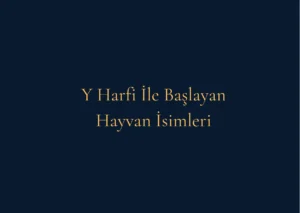Y Harfi İle Başlayan Hayvan İsimleri Nelerdir