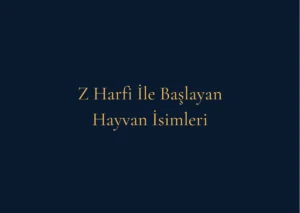 Z Harfi İle Başlayan Hayvan İsimleri Nelerdir